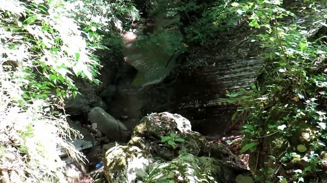 Своенравная Белая смотреть онлайн