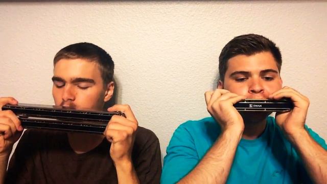 #640 Не покину Я вас-chord and chromatic harmonicas key Cm смотреть онлайн