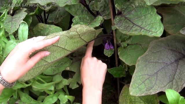 Фотография Моды и Глянцевых Журналов