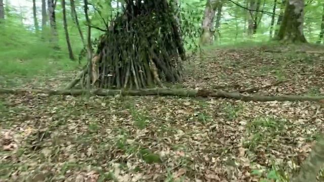 За вёшанками в мае. Собираю побеги колючки Смилакса. смотреть онлайн