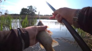 ЛОВЛЯ КАРАСЯ В КАМЫШЕ НА СЕКРЕТНУЮ СНАСТЬ