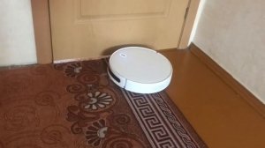 Как ведет себя Xiaomi Mi Vacuum Robot Mop Essential на ковровом покрытии? Обзор на робот-пылесос.