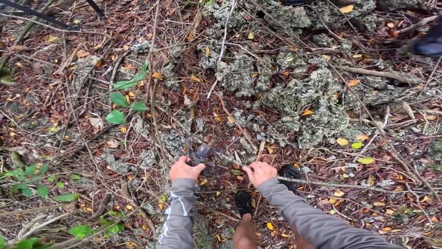 Indonesian fishing experience ? смотреть онлайн