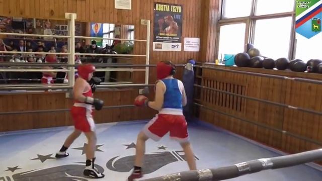 Показательные выступления Бронницкой секции бокса 2 ноября 2014 смотреть онлайн