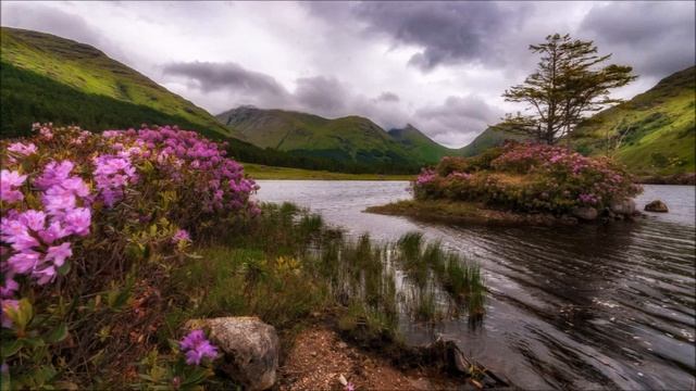 - И правильно он ушел, ты себя видела? Не может же он любить бегемота, - "поддержала" меня мама смотреть онлайн