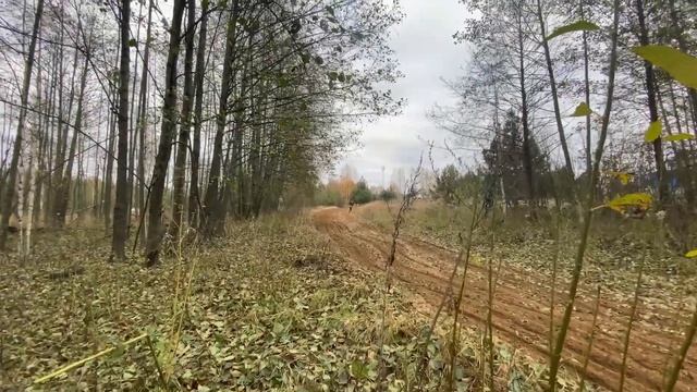 Осенняя тренировка по мотокроссу?? смотреть онлайн