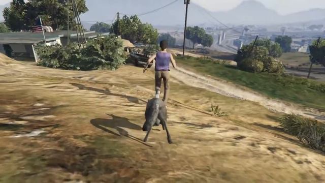 GTA 5 / Играем койотом - лофофора смотреть онлайн
