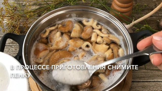 Рецензии на Кинофильмы и Телесериалы