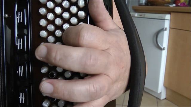 РОЗОВЫЕ РОЗЫ Разбор на баяне - (COVER) смотреть онлайн