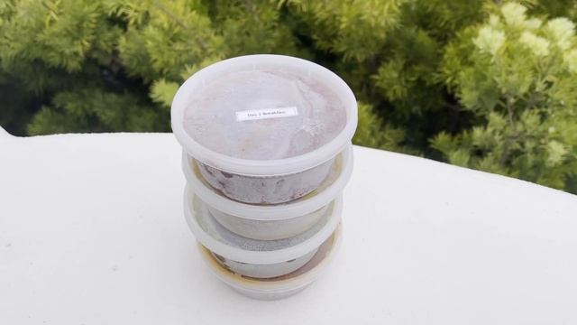 Welcome to EatWellCo смотреть онлайн