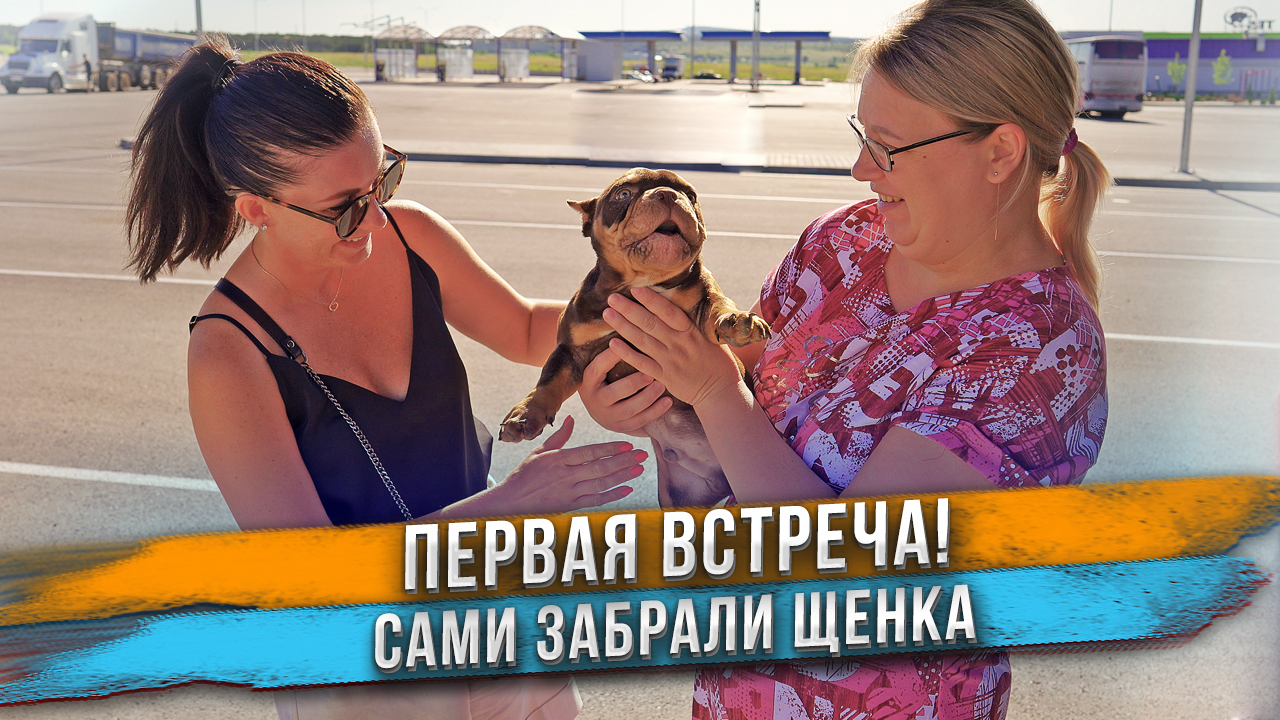 Хозяйка впервые берет своего щенка на руки! Открываем посылки с подарками от подписчиков! смотреть онлайн
