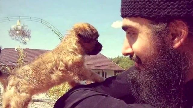 Батюшки с животными смотреть онлайн