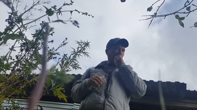 Как много пить и не спиться в хлам! смотреть онлайн