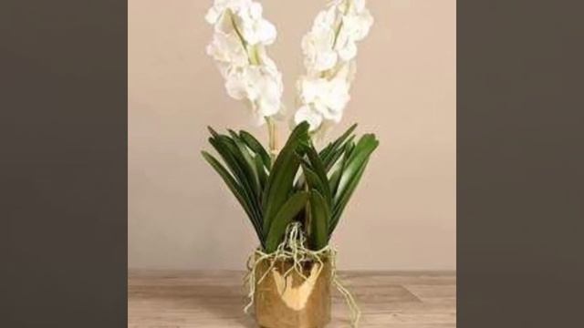 Demanding flower phalaenopsis arrangements ideas and phalaenopsis beautiful center pieces part 1 смотреть онлайн