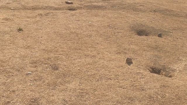 Чегемские водопады, суслики и Эльтюбю смотреть онлайн