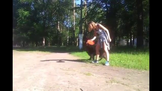 Грюнендаль Гектор от Сольника смотреть онлайн