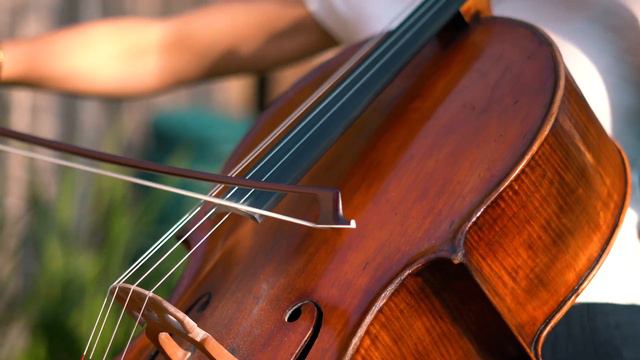 Cellist Naomi Watts plays a duet with her neighbour in lockdown смотреть онлайн