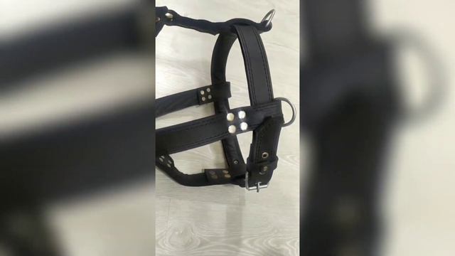 Ошейники для собаки itlar uchun bo'yinbog' питбуль смотреть онлайн