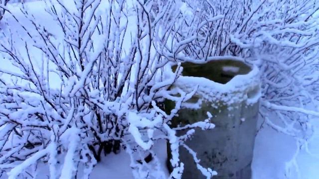Сад.Зима. смотреть онлайн