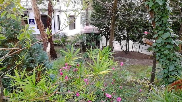 Сочи. Скоро Новый Год! смотреть онлайн