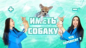 СТОИТ ЛИ ЗАВОДИТЬ СОБАКУ ??/ Плюсы и минусы/ Советы для всех пород