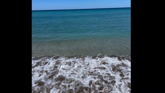 Сканирование тела смотреть онлайн