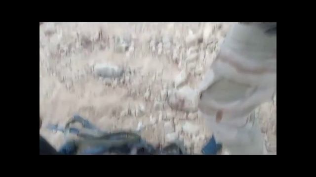 Пальмира Сирия смотреть онлайн