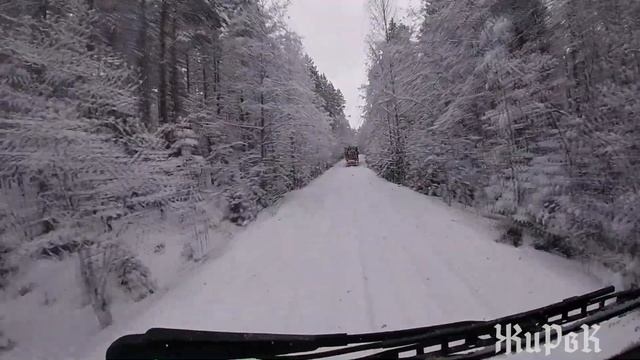 Лесовозы Вольво и Скания. Под "ЧЁРНЫМ" флагом. смотреть онлайн