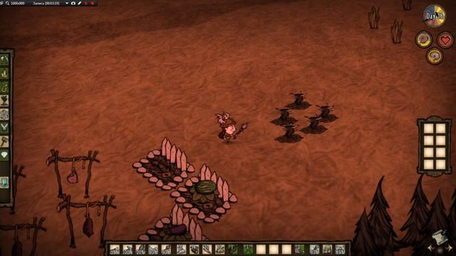 don't starve together гайд по обустройству базы смотреть онлайн