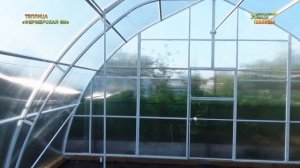 ТЕПЛИЦА «ФЕРМЕРСКАЯ 6М» ШИРИНА ТЕПЛИЦЫ ШЕСТЬ МЕТРОВ. ВЫСОТА 3,3 МЕТРА. КАПЛЕВИДНАЯ ФОРМА ТЕПЛИЦЫ