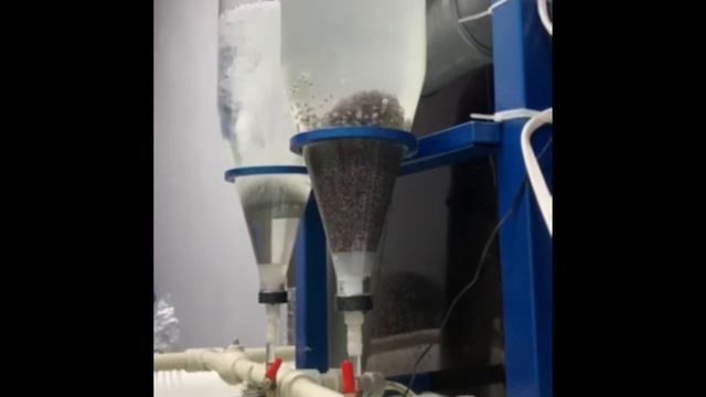 Покупка малька, икры . Посадка в аппарат Вейса смотреть онлайн