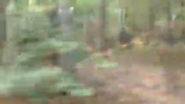 К Местам Силы: Каменное Село смотреть онлайн