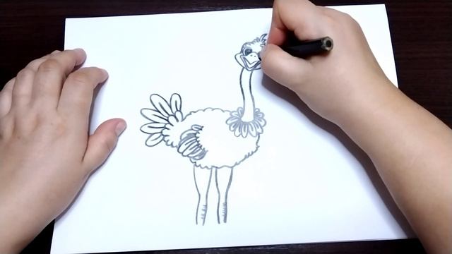 АСМР Страус ? Для сна и расслабления. Шёпот. смотреть онлайн