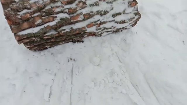 Первая зимняя рыбалка 2021 смотреть онлайн