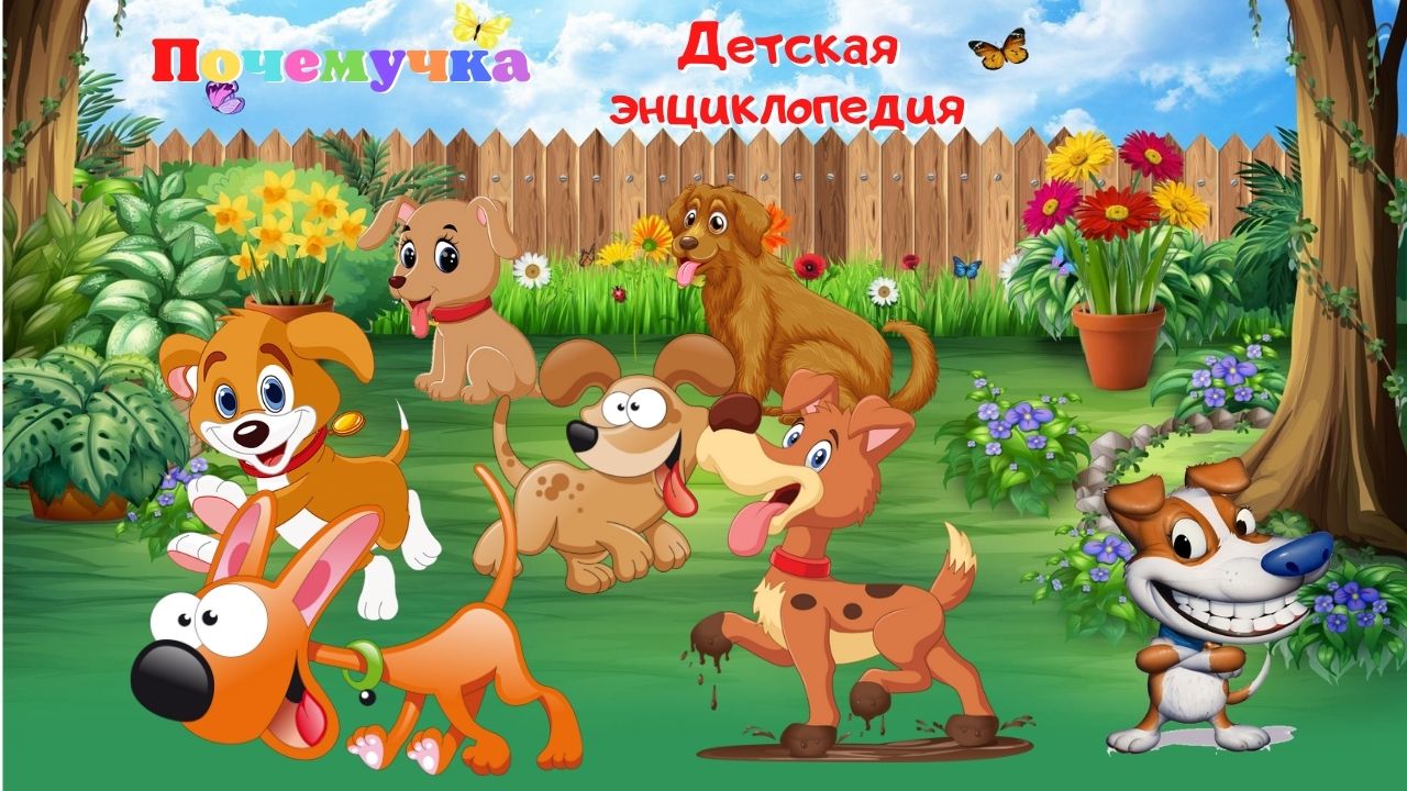 0+ Как появились собаки? Почемучка. Детская энциклопедия. смотреть онлайн