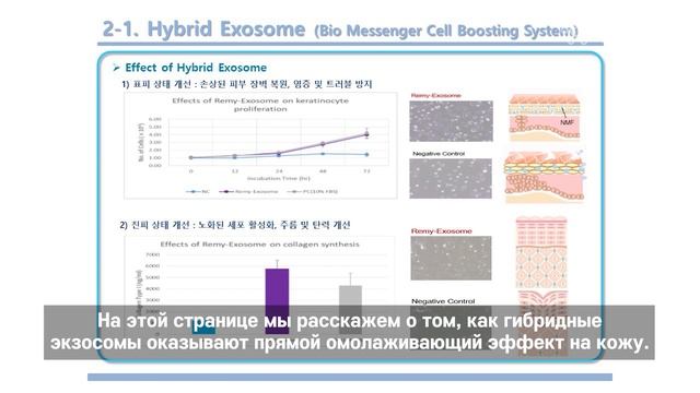 Freedra Exosome Ample полное завоевание! смотреть онлайн