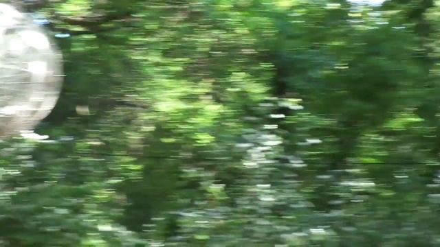 "У Лукоморья дуб зеленый..." смотреть онлайн