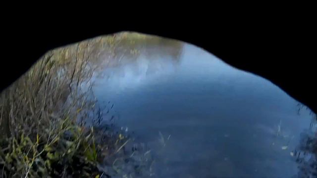На бесклёвье и рак рыба.. смотреть онлайн