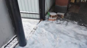 Защита деревьев от массы снега подручными материалами