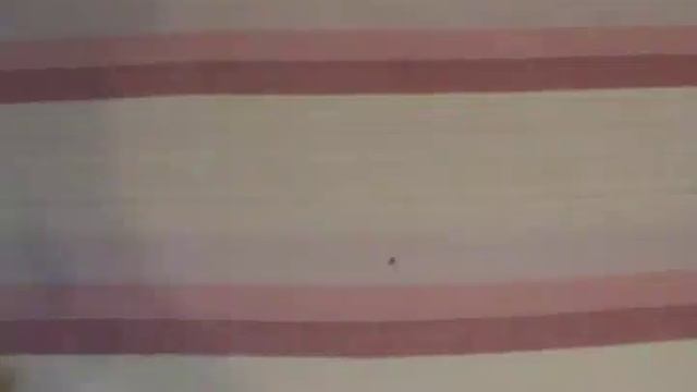 12 калибр VS 410 смотреть онлайн