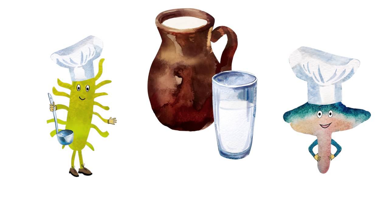 37.1. Чем полезны бактерии для человека смотреть онлайн