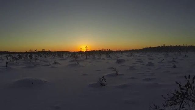 Зимняя охота 2015 смотреть онлайн