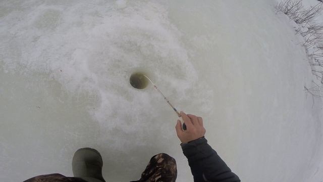 Ловля уклейки зимой, уклейка зимой видео rybachil.ru смотреть онлайн