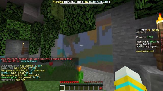 SALLY RETURNS! | Silver & Sally Play Minecraft Hypixel Says! смотреть онлайн