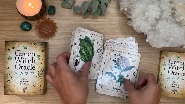 Green Witch Oracle by Cheralyn Darcey Walkthrough смотреть онлайн