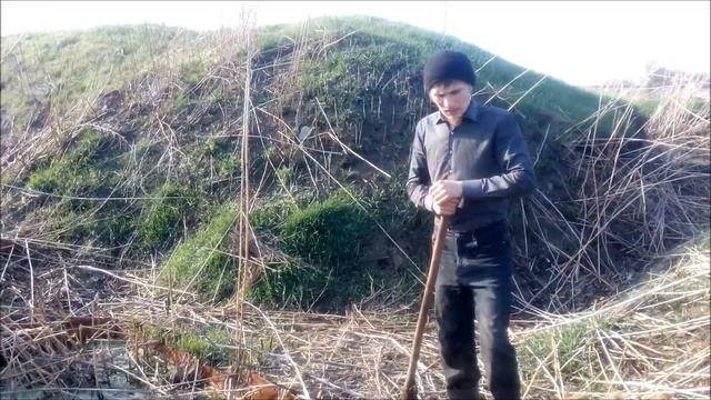 Ряска малая - разведение. Часть 1. смотреть онлайн