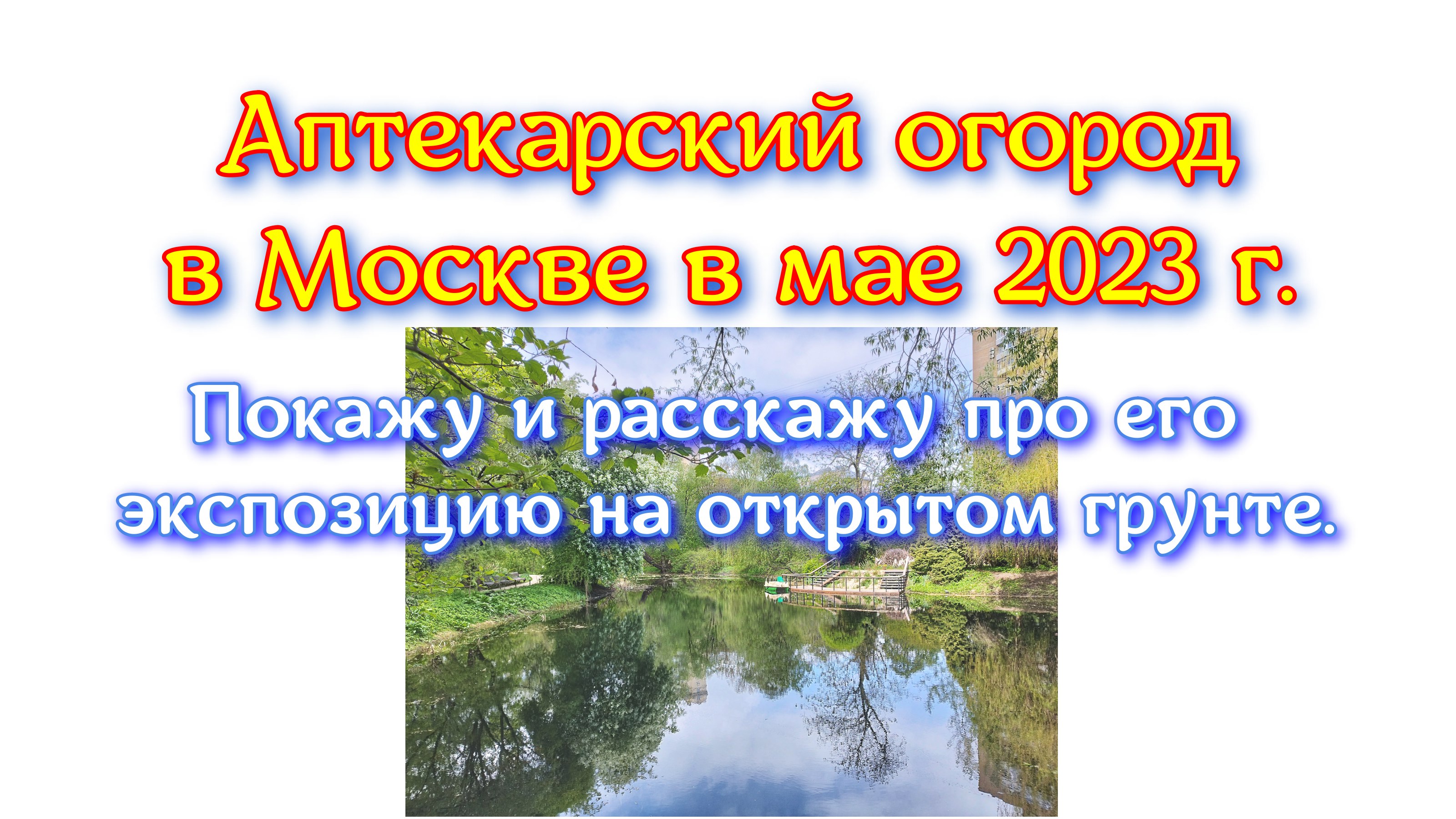 Аптекарский огород в Москве в мае 2023 г. Покажу и расскажу про его экспозицию на открытом грунте. смотреть онлайн