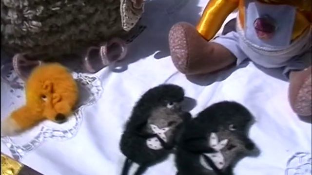 Выставка в Ессентуках 17.05.2014 смотреть онлайн