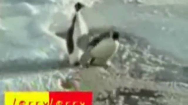 Е мое ну чтож такое окончательный