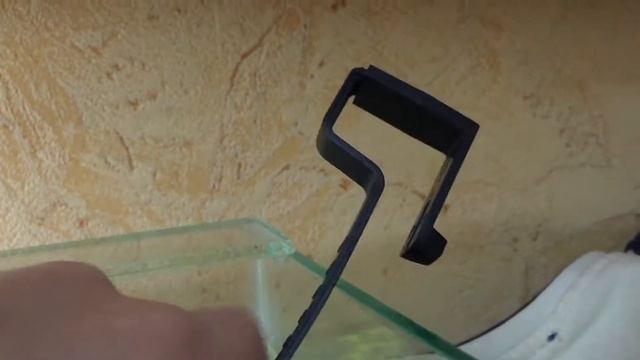 Мой первый аквариум на 50 литров! смотреть онлайн